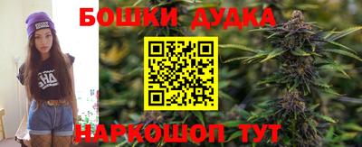 гидропоника Новодвинск