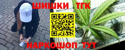 гидропоника Новодвинск