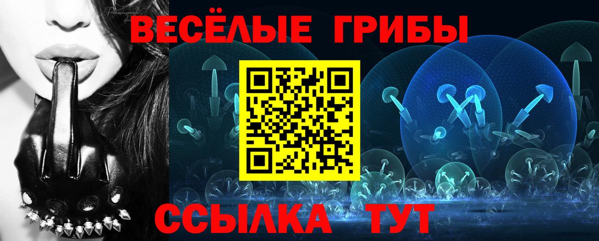 Реж  Галлюциногенные грибы Magic Shrooms  Вход с VPN 
